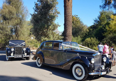 images/gallery/1950-Bentley-Coach-built-and-1951-Rolls-Royce-Wraith-at-the-Zoo.jpg